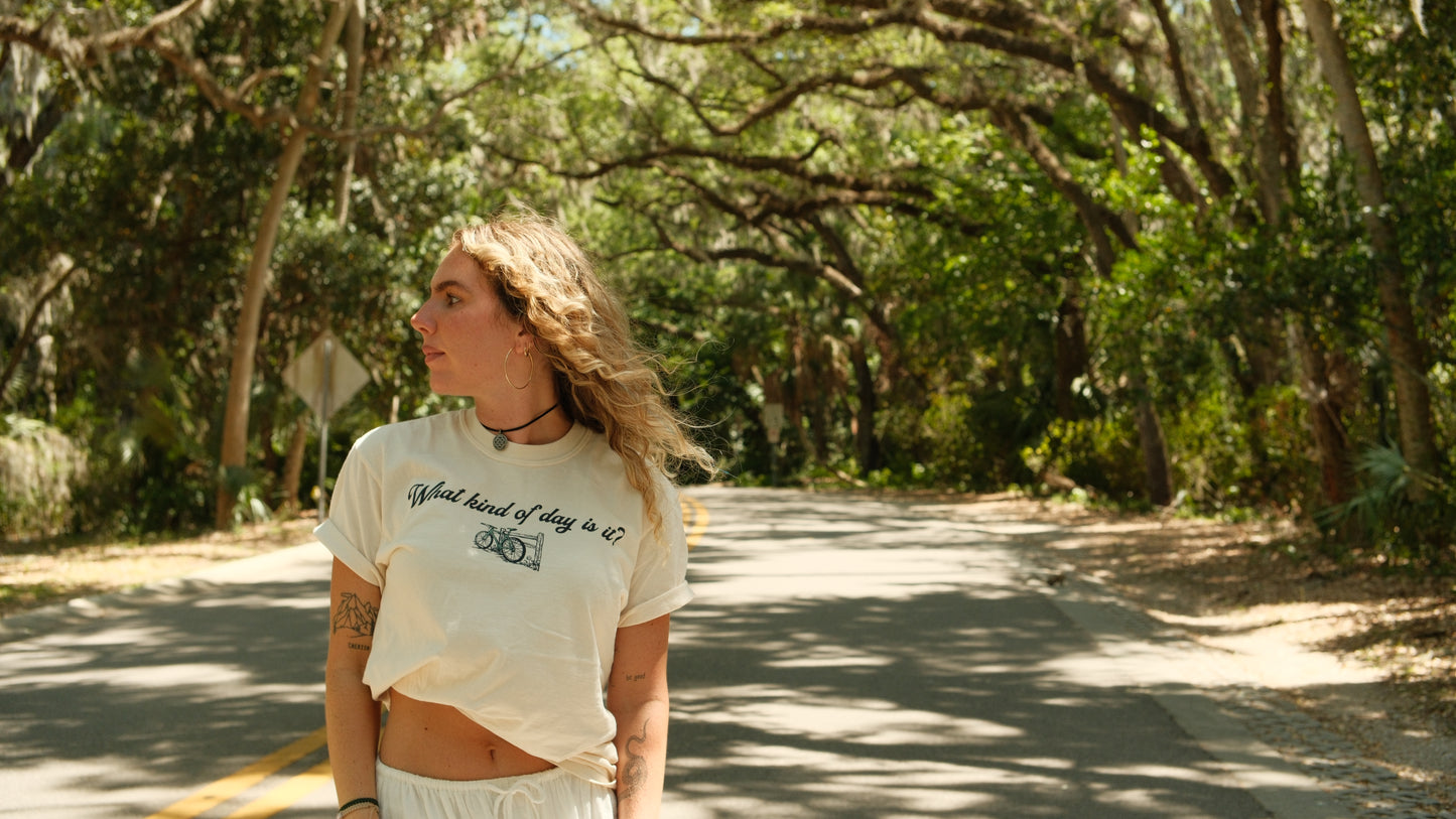 'It's A Beautiful Day!' Tee (Ivory)